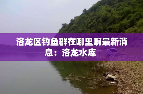 洛龙区钓鱼群在哪里啊最新消息：洛龙水库 