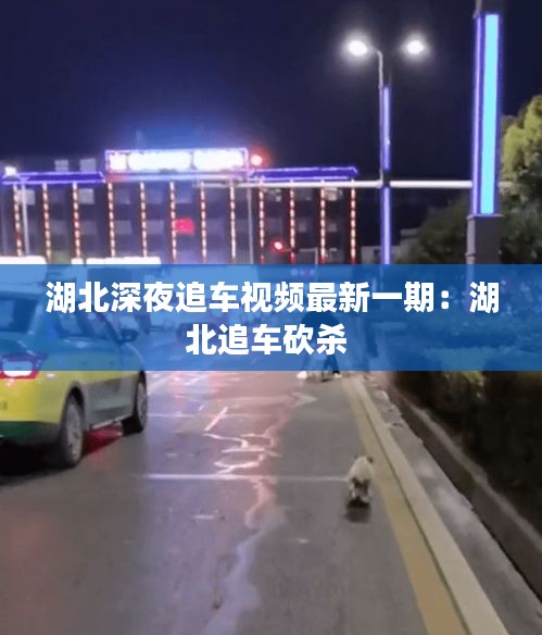 湖北深夜追车视频最新一期：湖北追车砍杀 