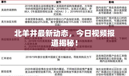 北羊井最新动态，今日视频报道揭秘！