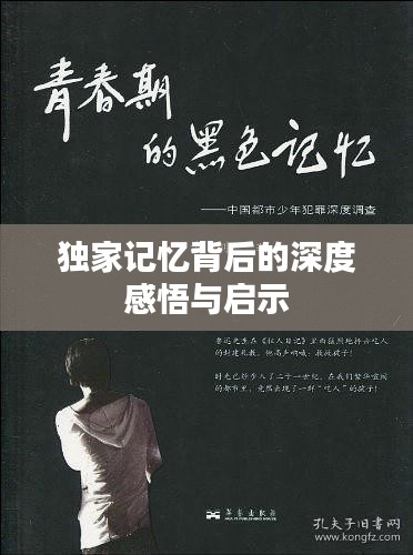 独家记忆背后的深度感悟与启示