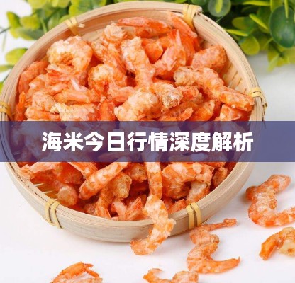 海米今日行情深度解析