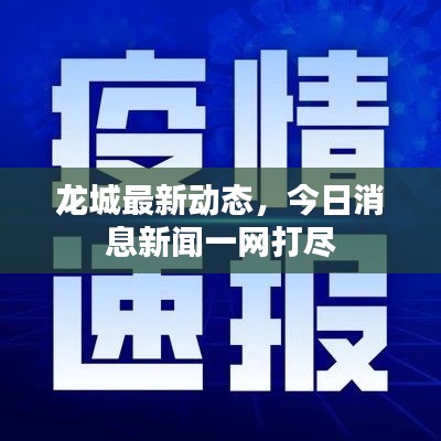 龙城最新动态，今日消息新闻一网打尽