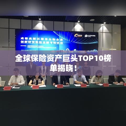 全球保险资产巨头TOP10榜单揭晓！