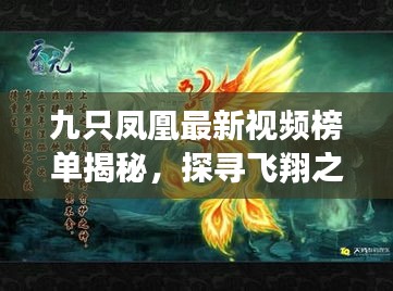 九只凤凰最新视频榜单揭秘，探寻飞翔之美，揭开神秘面纱