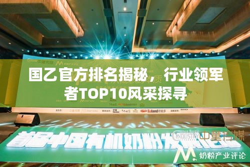 国乙官方排名揭秘，行业领军者TOP10风采探寻