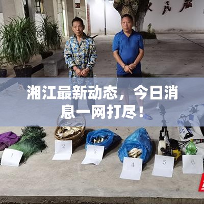 湘江最新动态，今日消息一网打尽！