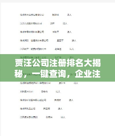 贾汪公司注册排名大揭秘，一键查询，企业注册信息与排名全掌握