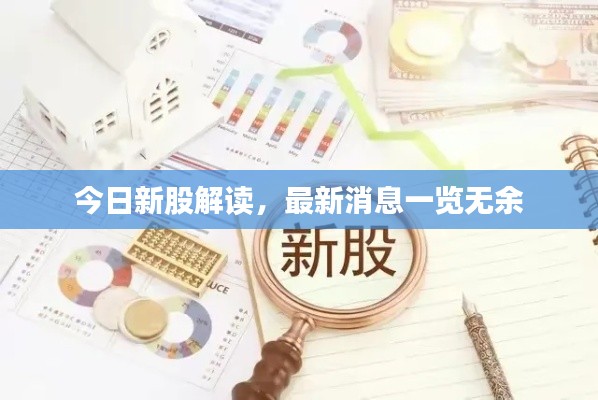 今日新股解读，最新消息一览无余