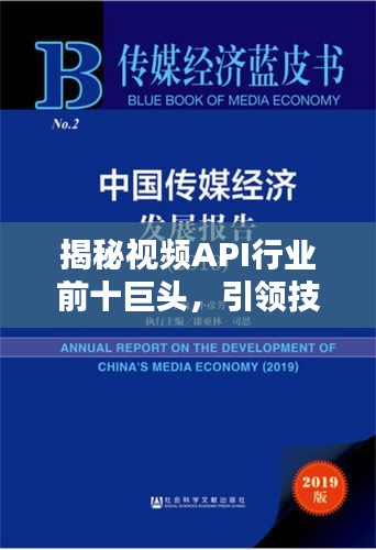 揭秘视频API行业前十巨头，引领技术风潮！