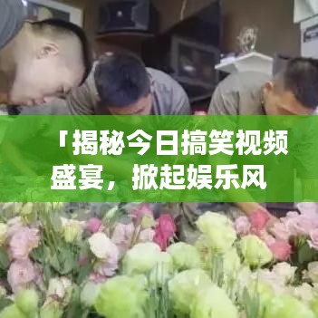 「揭秘今日搞笑视频盛宴，掀起娱乐风暴——今日头条独家呈现」