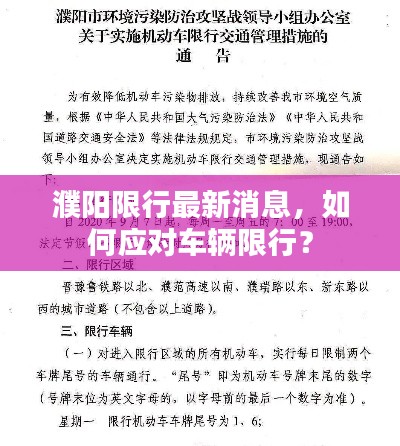 候鸟南飞 第2页