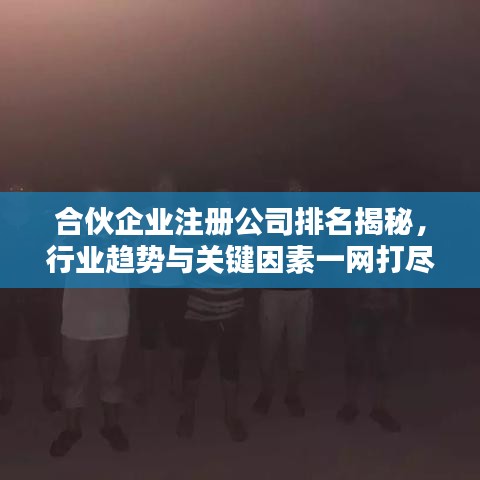合伙企业注册公司排名揭秘，行业趋势与关键因素一网打尽