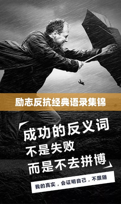 励志反抗经典语录集锦