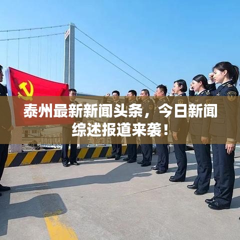 泰州最新新闻头条，今日新闻综述报道来袭！
