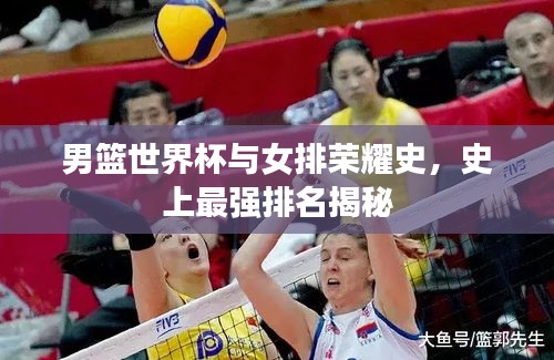男篮世界杯与女排荣耀史，史上最强排名揭秘