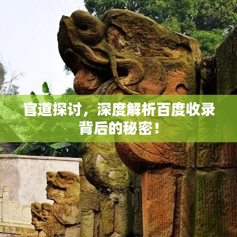 官道探讨，深度解析百度收录背后的秘密！
