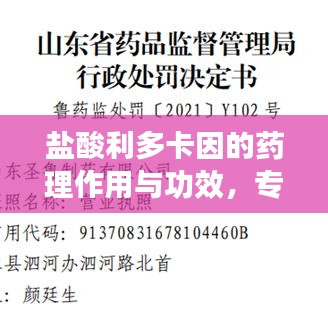 盐酸利多卡因的药理作用与功效，专业解析百度收录！