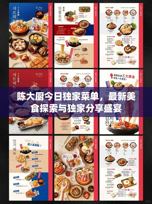 陈大厨今日独家菜单，最新美食探索与独家分享盛宴