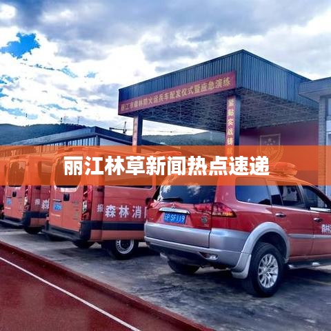 丽江林草新闻热点速递