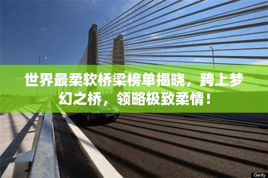世界最柔软桥梁榜单揭晓，跨上梦幻之桥，领略极致柔情！