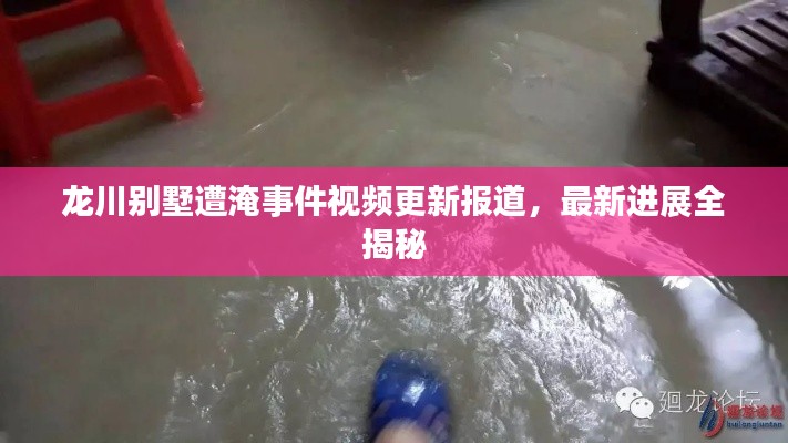 龙川别墅遭淹事件视频更新报道，最新进展全揭秘