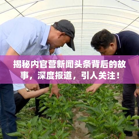 揭秘内官营新闻头条背后的故事，深度报道，引人关注！