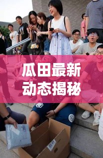 瓜田最新动态揭秘，今日独家消息速递