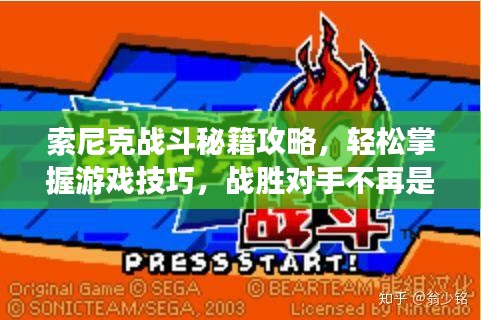 索尼克战斗秘籍攻略，轻松掌握游戏技巧，战胜对手不再是难题！