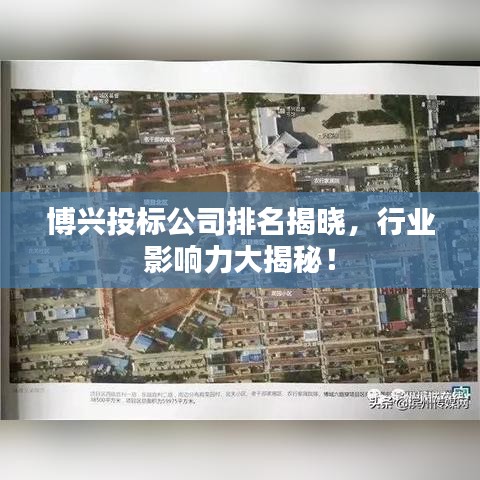 博兴投标公司排名揭晓，行业影响力大揭秘！