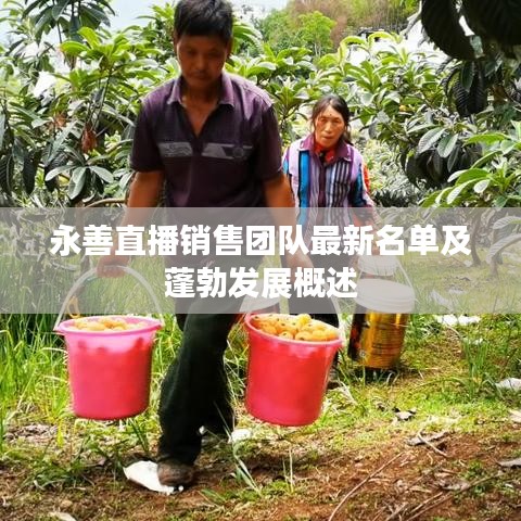 永善直播销售团队最新名单及蓬勃发展概述