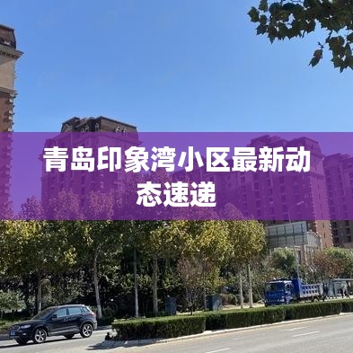 青岛印象湾小区最新动态速递