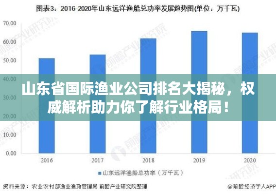 山东省国际渔业公司排名大揭秘，权威解析助力你了解行业格局！