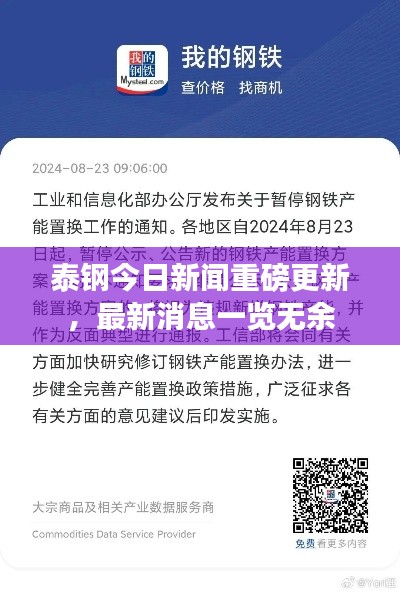 泰钢今日新闻重磅更新，最新消息一览无余
