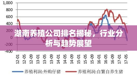湖南养殖公司排名揭秘，行业分析与趋势展望