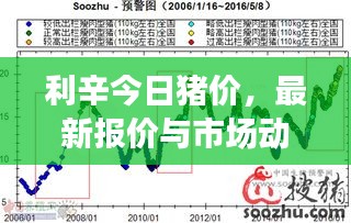 利辛今日猪价，最新报价与市场动态深度解析