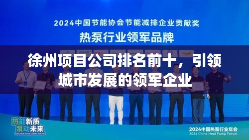 徐州项目公司排名前十，引领城市发展的领军企业