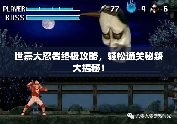 世嘉大忍者终极攻略，轻松通关秘籍大揭秘！