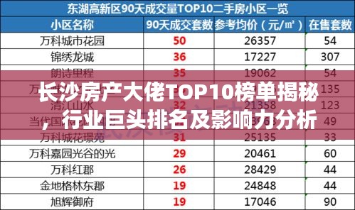长沙房产大佬TOP10榜单揭秘，行业巨头排名及影响力分析