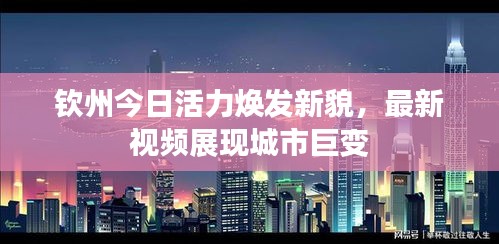 钦州今日活力焕发新貌，最新视频展现城市巨变