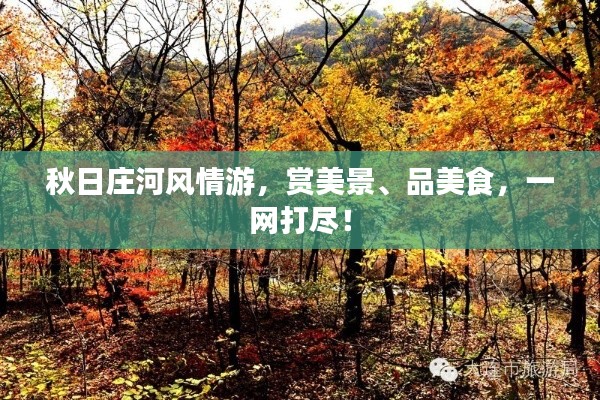 秋日庄河风情游，赏美景、品美食，一网打尽！