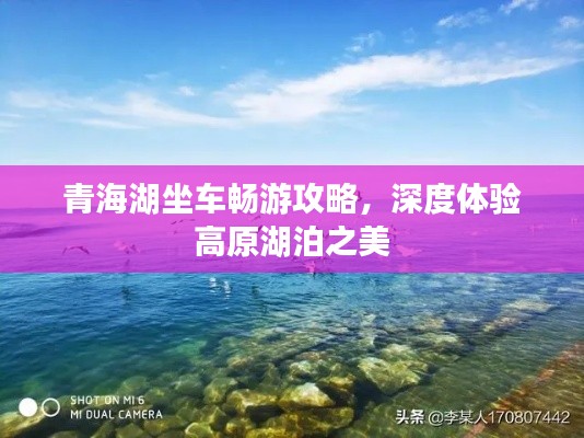 青海湖坐车畅游攻略，深度体验高原湖泊之美