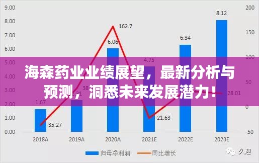 海森药业业绩展望，最新分析与预测，洞悉未来发展潜力！