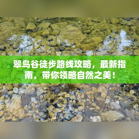 翠鸟谷徒步路线攻略，最新指南，带你领略自然之美！