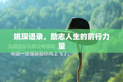 姚琛语录，励志人生的前行力量