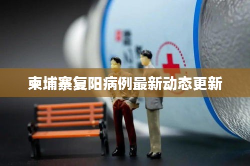 柬埔寨复阳病例最新动态更新
