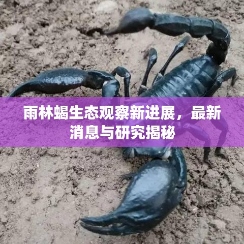 物稀为贵 第2页