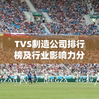 TVS制造公司排行榜及行业影响力分析