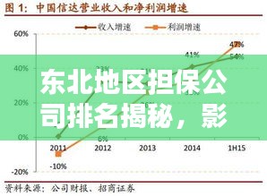 东北地区担保公司排名揭秘，影响力深度解析