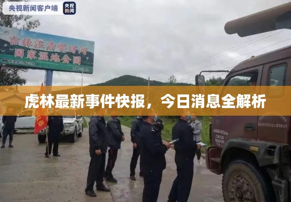 虎林最新事件快报，今日消息全解析