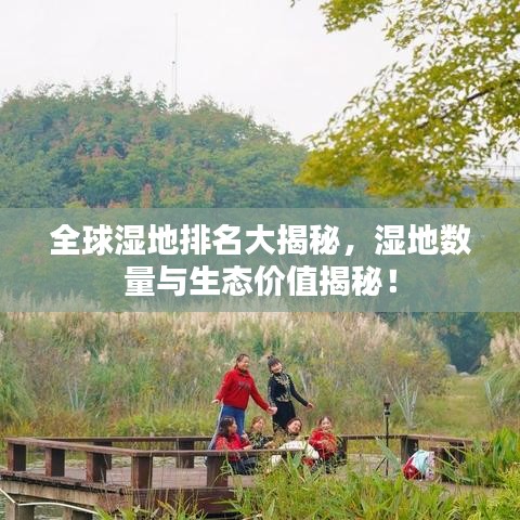 全球湿地排名大揭秘，湿地数量与生态价值揭秘！